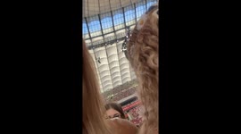 Teens harassed at Taylor Swift concert: TikTok video goes viral with over 13 million views