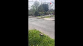 'What are Handbrakes for?' - Parking fail leads to car getting SWALLOWED by massive hole