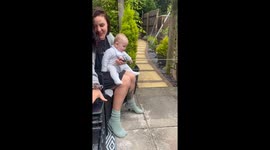 Joyful family time: Baby laughs as cat plays with its favorite toy