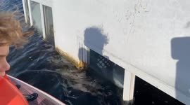 Incredible footage of sunken vessel off the coast of the Florida Keys Part 3