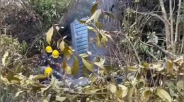 Four Chinese nationals killed in helicopter crash in Nepal