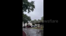 USA: Storm Debby, Wind And Rain In Murrells Inlet, SC