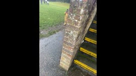 Toddler Puts Mud On Head