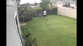 Blindfolded Dog Brings Down Owner
