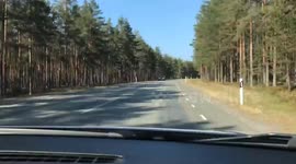 It's like a super hero running with a fast-speed force on the road through forests and fields