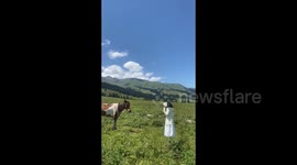 China: The girl got knocked away by a horse