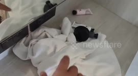 Belgian tourist arrested for string of hotel thefts in Thailand