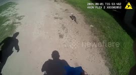 Police rescue cat with head stuck in cup in Palmhurst, Texas