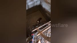 Dog rescued from septic tank near  Convent School in Madhya Pradesh