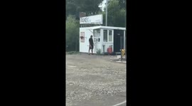 Man with axe attacks gas station in Razmetelevo, Russia