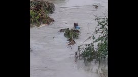 Elderly man rescued from water by villagers in Vadodara, Gujarat, India