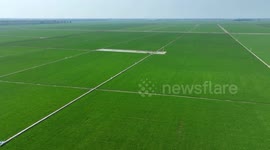 China: High-tech drives smart agriculture in China's largest grain producing region