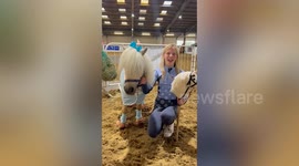 Girl competes in hobby horse competitions - where she show jumps with stick pony
