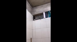 Kitten tries to enter bathroom through half-open window in Ciudad Obregón, Mexico