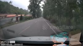 Delivery driver's fatigue leads to accident in Shanxi Province, China