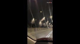 INSANE view of clouds of insects flying under street lights