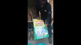 I rescued abandoned dogs in Mityana district and am taking care of them in terms of food, shelter and treatment so I need support