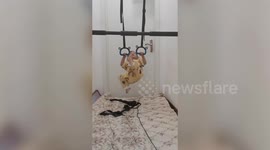Two-year-old shows off impressive gymnastic skills