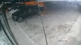 High-energy pet Doberman chases owner around the house