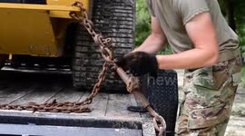 USA: U.S. Air Force Engineers Clear Routes in Hurricane Debby Aftermath