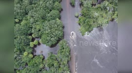 USA: Woman Saved from Flooding After Hurricane Debby in Manatee County