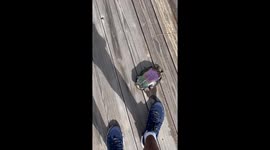 Man flips over turtle stuck on back and helps it off fishing dock