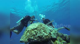 Australia: Great Barrier Reef Faces Catastrophic Damage as Record Temperatures Threaten Vital Coral
