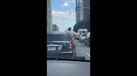 Passenger Takes Selfies While Stuck in Traffic