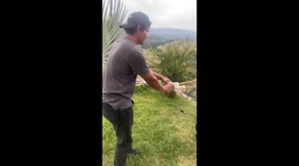 Giant Slingshot Sends Man Flying Backward