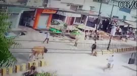 Stray bull kills elderly man with single headbutt