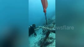 British schoolboy, 11, breaks world diving record