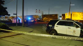 USA: El Sereno Fatal Auto vs Pedestrian Collision
