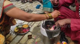 Indian devotees worship snakes on Nag Panchami