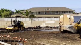 USA: Debris removal efforts still underway one year after Maui wildfires