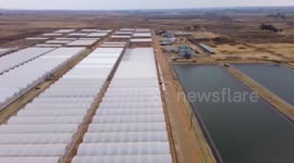 South Africa: South Africa's emerging hydroponic strawberry farmland helps boost community employment