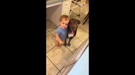 Heartwarming moment: Little girl poses with her dog for a picture