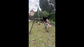 Hen Loves To Swing