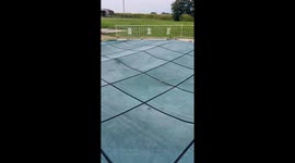 Someone’s Horse Fell Into My Pool