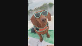 Florida summer day on a boat ride, relaxing in the sun