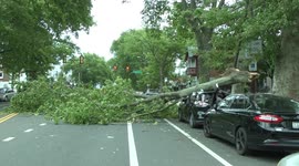 Tropical Storm Debby's Impact in Philadelphia