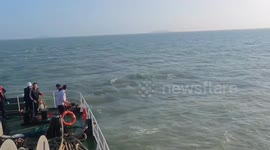 Crew and passengers save man who falls of cruise ship