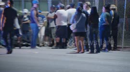 USA: Compton Horse Struck by Vehicle