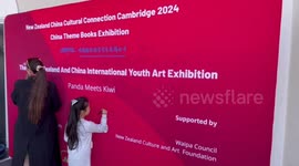 Chinese books, paintings welcomed at New Zealand exhibitions