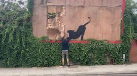A man is busted as he tries to take down latest Banksy artwork