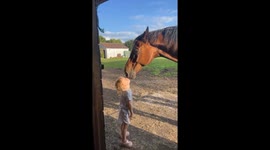 Child and horse share heartwarming interaction in Somerset