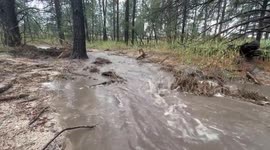 Severe Thunderstorm in Douglas CO