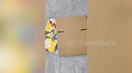 Dad jets to Ibiza for 24 hours of raving - with change of clothes in carrier bag