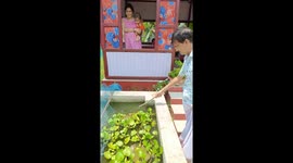 Man caught fish in pond using stick and string in Kolkata, India