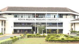 Kenyan researcher hails Chinese anti-malarial drugs for taming killer disease