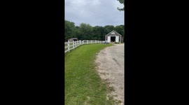 Goat Parade Delights Crowd
